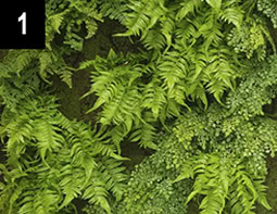 Artificial Ferns and Leaves - Made from recycled plastic
