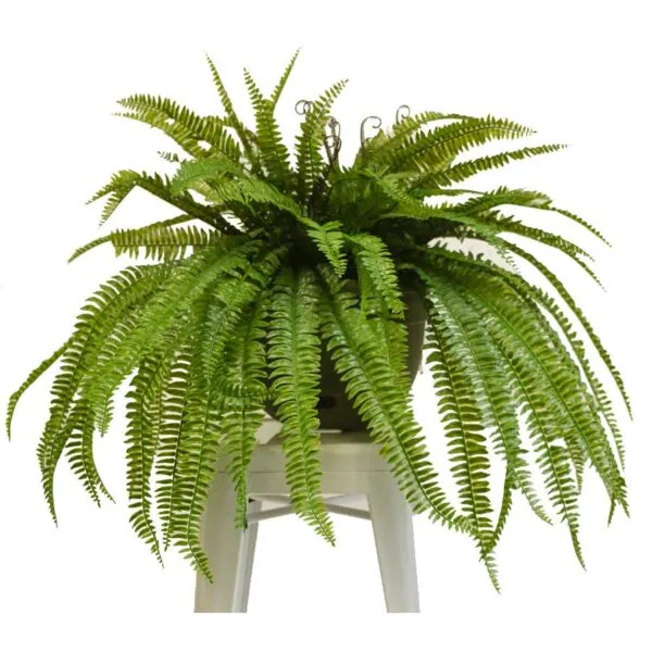 Artificial Boston fern
