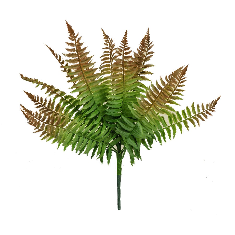 Artificial Rust Fern Plants | ReadyLeaf