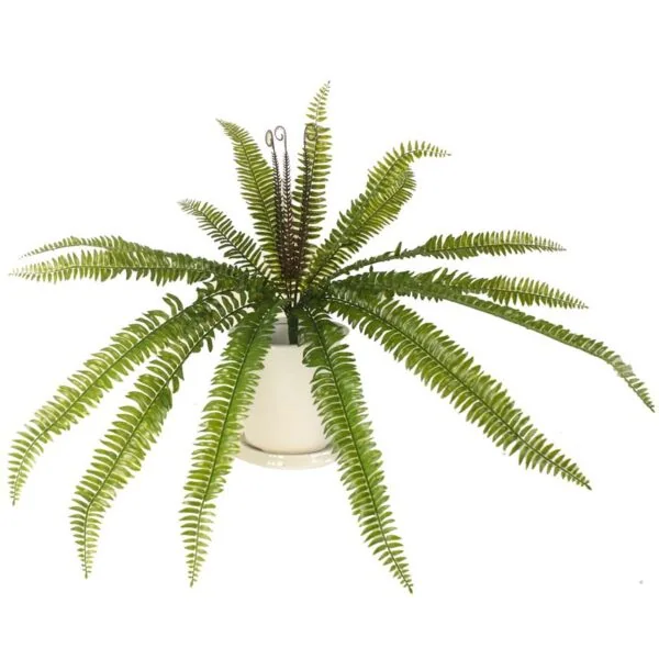 Artificial Boston Fern