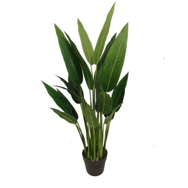 Fake Strelitzia