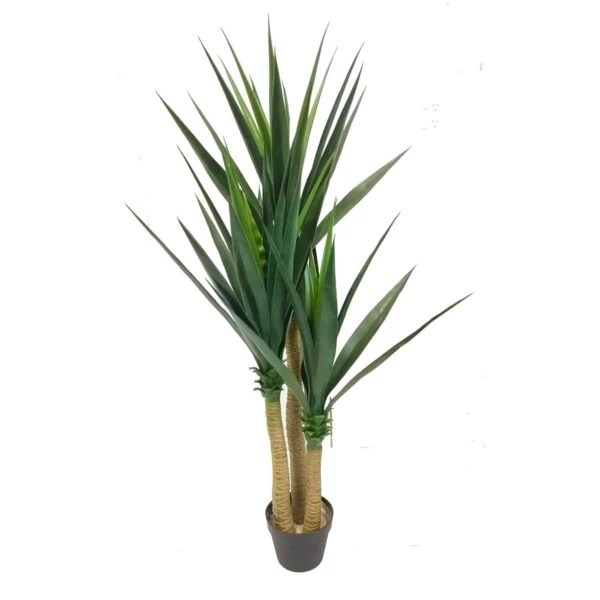 Fake Yucca