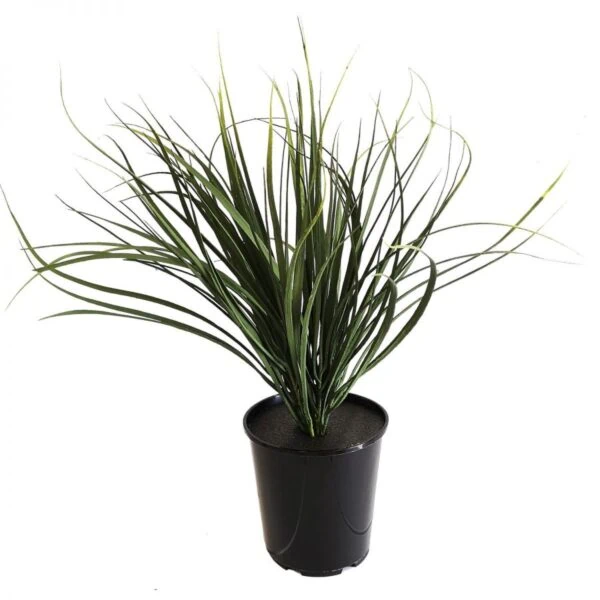 Artificial Sea Grass