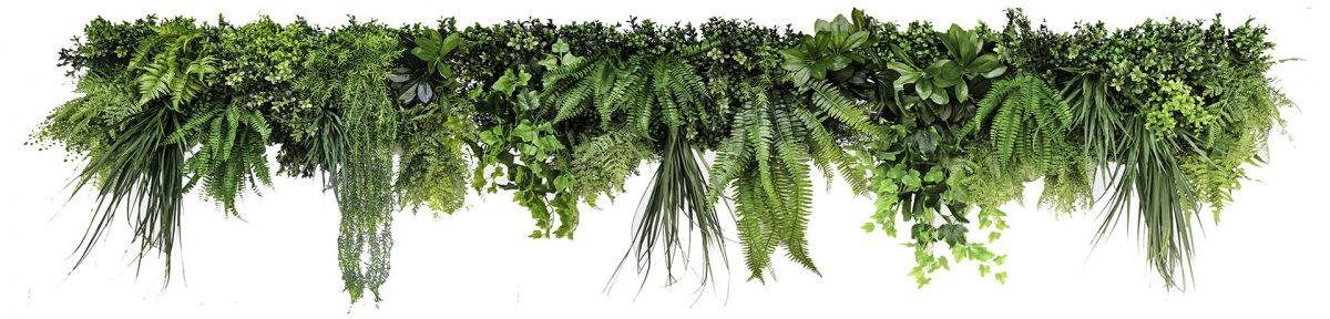 Artificial plant wall