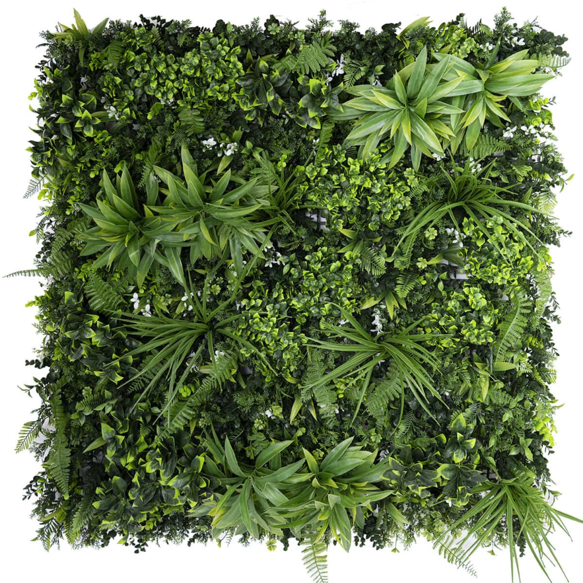 Fresh Look at Everglade Artificial Green Wall Panels For Outdoors