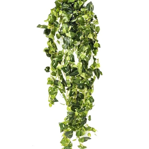 Artificial miniature pothos vine