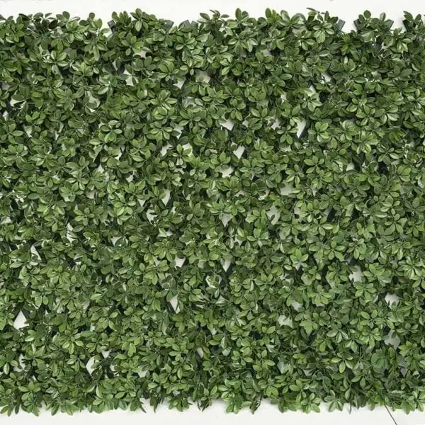 expanding trellis with leaves / foliage