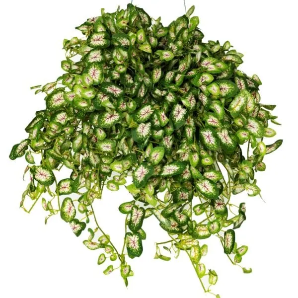 Artificial Miniature Caladium