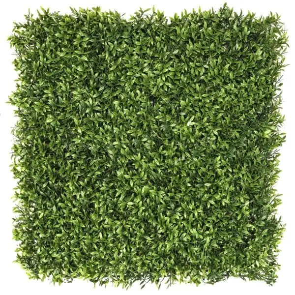 Artificial Phebalium hedge panels