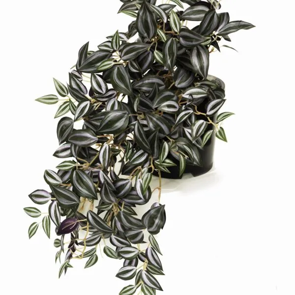 Artificial Tradescantia