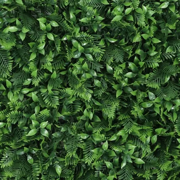 How Ferntasia looks up close