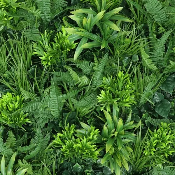 A closer look at the new Shady Glen Supreme