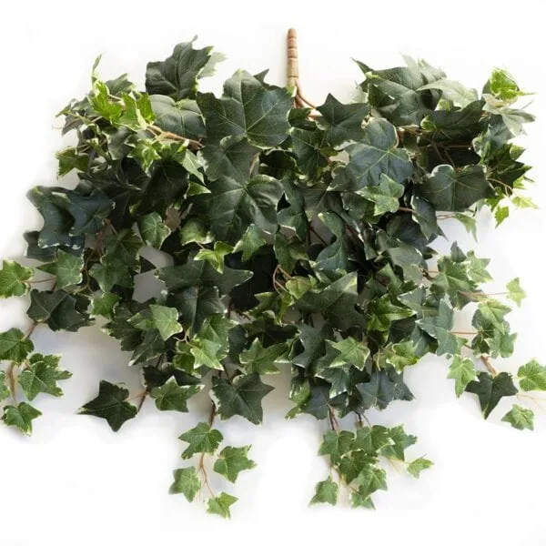 Artificial French Cascade ivy