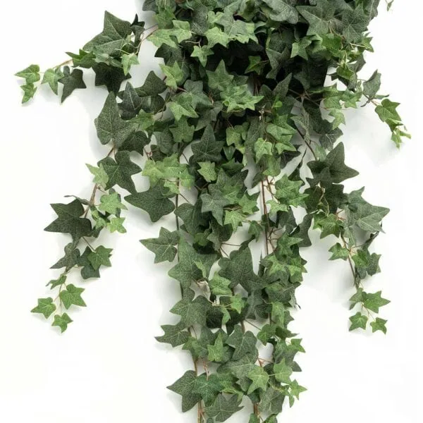 Artificial Ivy - Cyprus