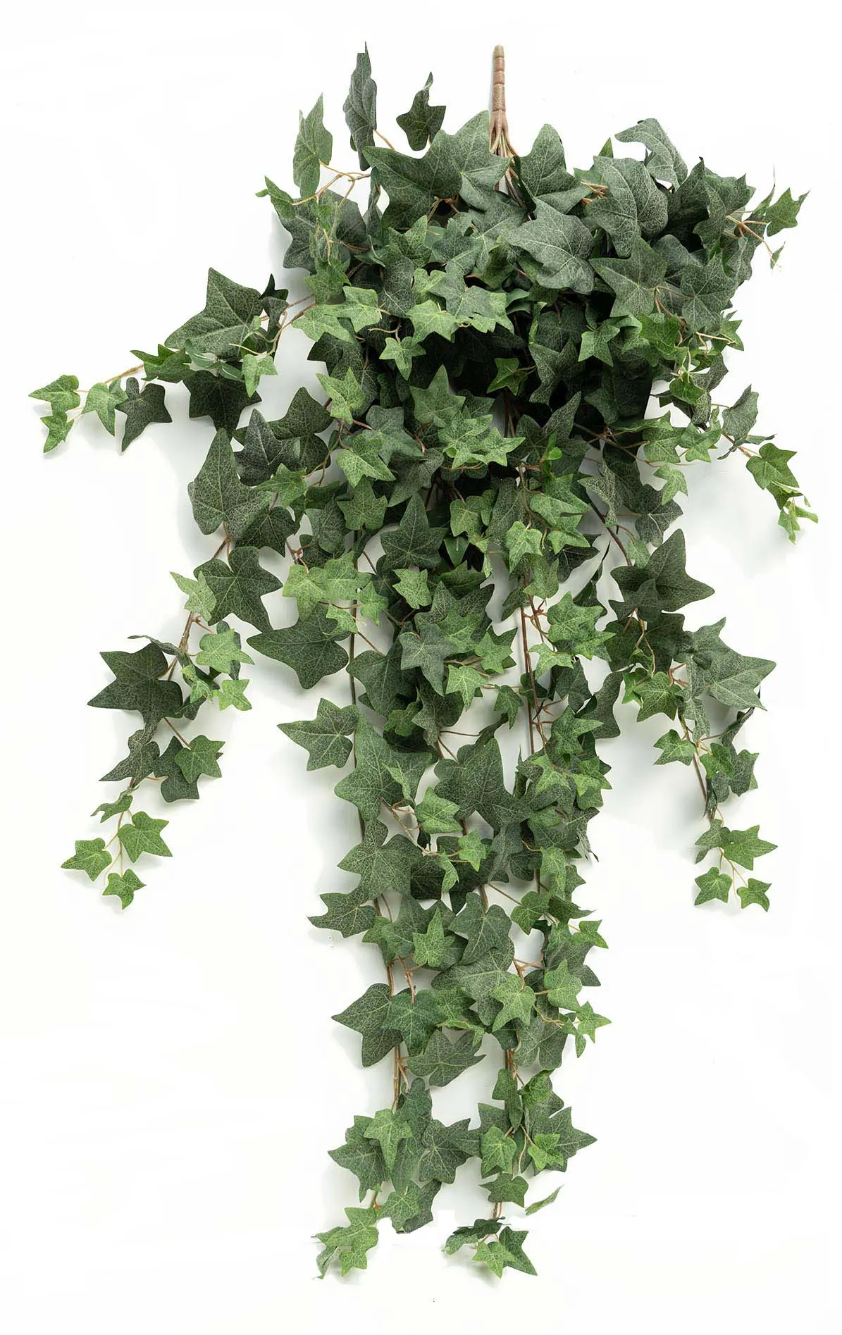Artificial Ivy - Cyprus