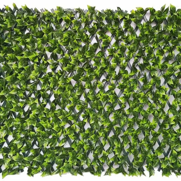 Expandable Trellis with Citrus Greenery