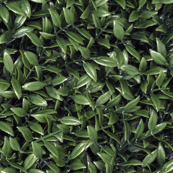 Close up of artificial hedge tile - Pittosporum