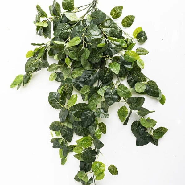 Artificial Hanging Plant - Fittonia