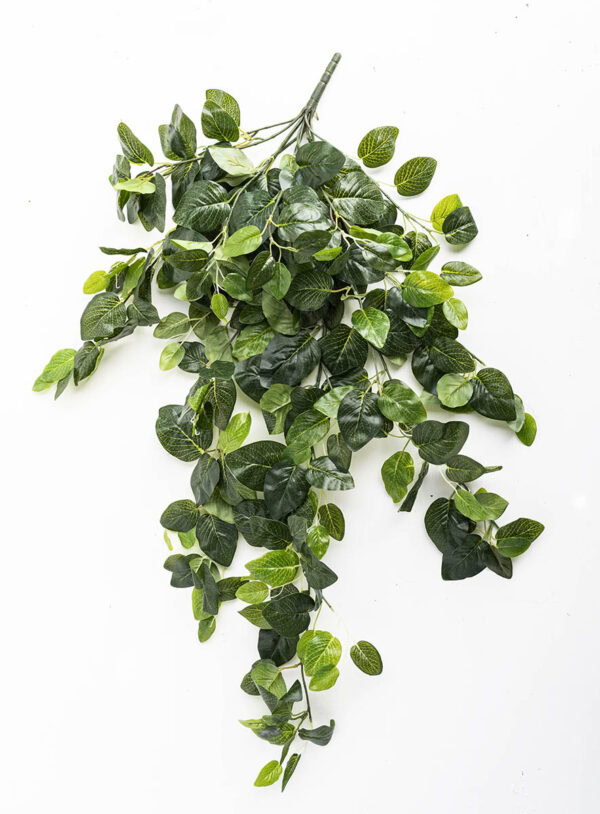 Artificial Hanging Plant - Fittonia