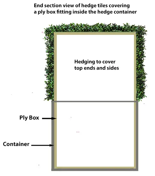 Hedge in planterbox