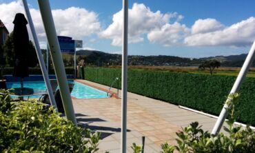 Buxus hedging at a Whitianga resort